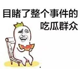 娱乐吃瓜菌感人瞬间